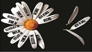 M'ami o...non m'ami? - Testimonianze e riflessioni sulla violenza nei confronti delle donne M'ami o...non m'ami? - Testimonianze e riflessioni sulla violenza nei confronti delle donne